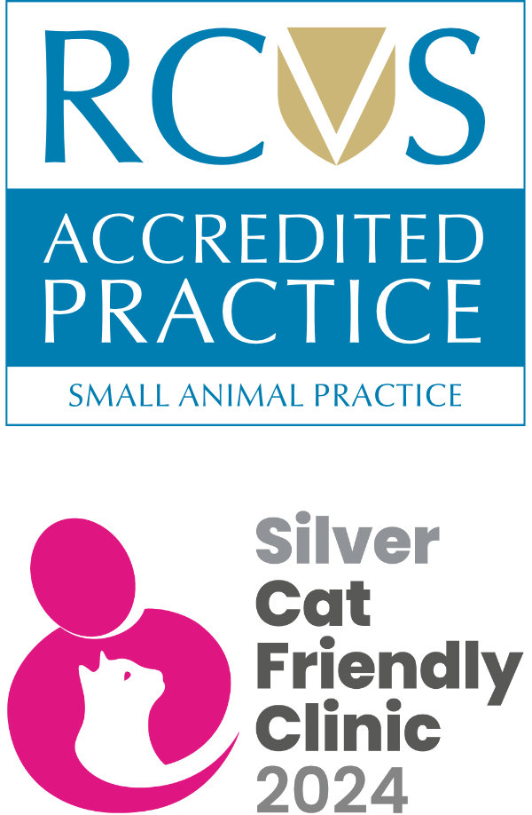 RCVS Accredited Small Animal General Practice logo